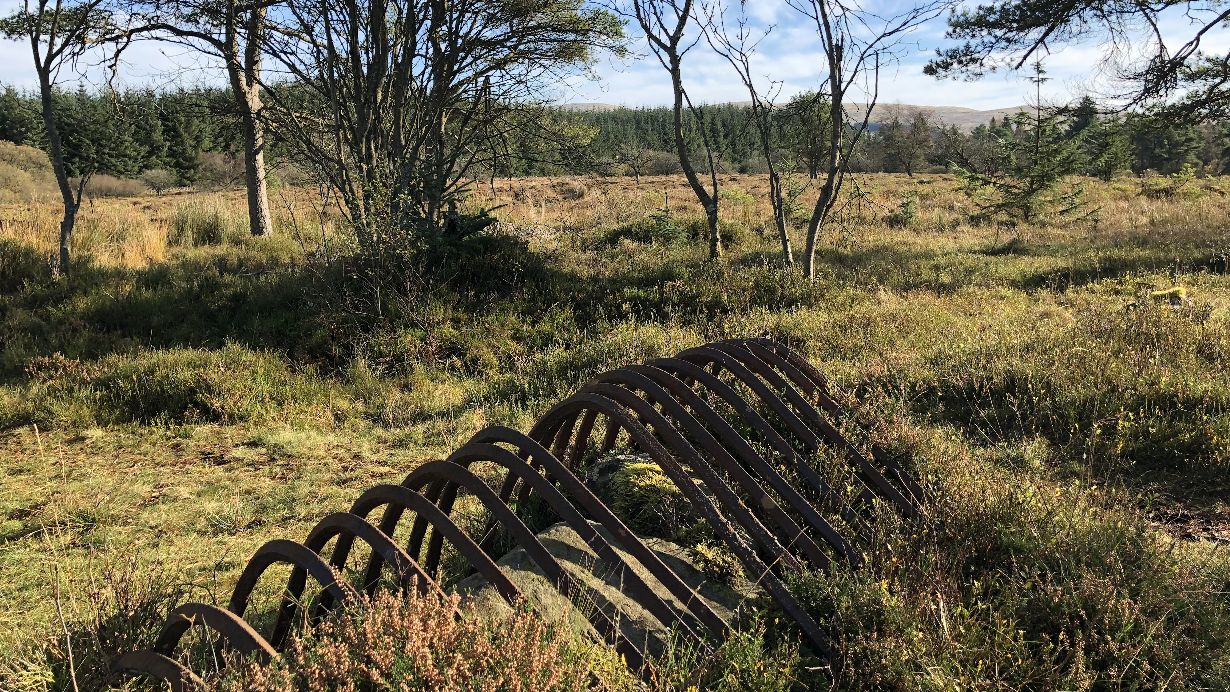 Meeting stone at Sheriffmuim